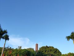 -红花山公园