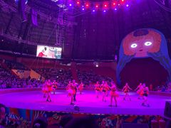 -俄罗斯国家大马戏团