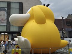 -杭州湖滨in77