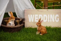 -花轿喜屋婚礼策划