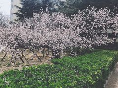 -山东大学(威海校区)