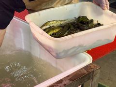 -金海椒罐罐鲢鱼(东方桂苑店)