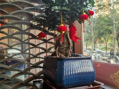 -李记饺子·熏酱东北菜(欢乐谷店)