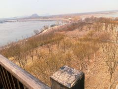 -天津东丽湖风景区