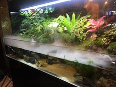 -牛品福潮汕牛肉火锅(旺庄店)