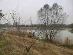 -淇河国家湿地公园