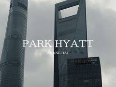 -上海柏悦酒店