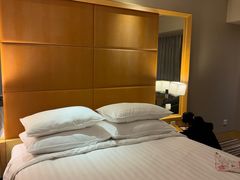 -上海新锦江大酒店