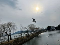 -无锡蠡湖国家湿地公园-蠡园