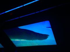 -海洋公园海洋列车－海滨站