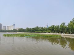 -莲花池公园