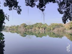 -小洲村