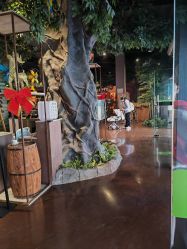 -奇幻丛林(佛罗伦萨小镇店)