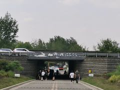 -白鹭湾湿地公园