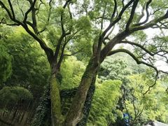 -岳麓山风景名胜区