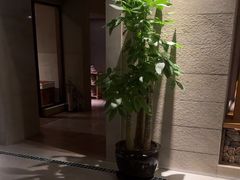 -浅深Cheersum(曹杨店)