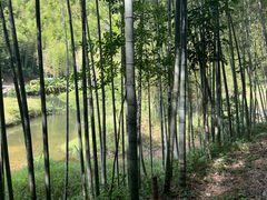 -千泷沟大瀑布旅游区
