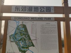 -东郊湿地公园