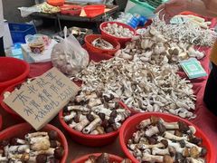 -沙子口大集沙子口海鲜市场