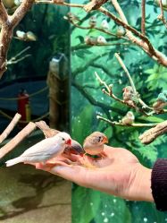 -Zoolung Zoolung动物主题公园(海信广场店)