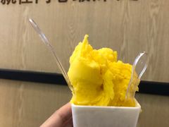 芒果Sorbetto-野人先生现做冰淇淋(北京环宇荟店)