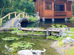 -深圳国际园林花卉博览园