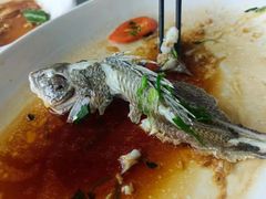 -八仔大富楼·河鲜(西江店)