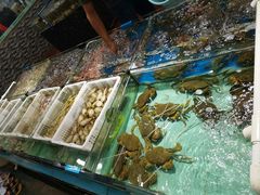 水产区-绿雅居原生态农庄(小涌店)
