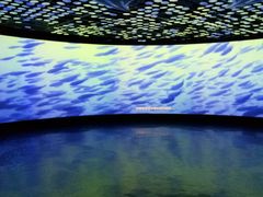 -同济大学四平路校区深海探索馆