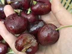 -百佳永辉超市(福田星河店)