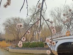 -大兴滨河森林公园