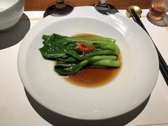 -觀芷隐轩