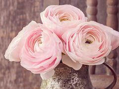 -庐州太太(双岗店)