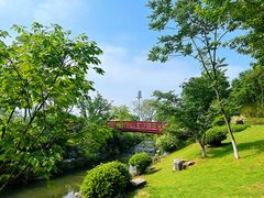 -羊山湖公园