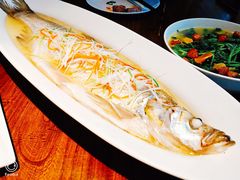 清蒸太湖白鱼-金枝玉叶上海人家食府(三里河店)