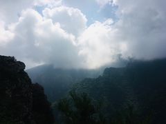 -牛背梁国家森林公园