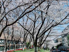 -浙江大学(玉泉校区)