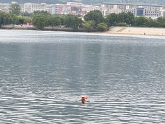 -天平湖公园