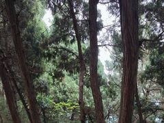 -金堂县云顶石城风景区