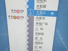 -大龙山(地铁站)