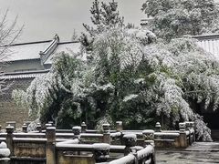 -乌镇景区