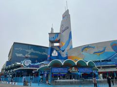 -海合安青岛极地海洋公园