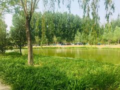 -东郊湿地公园