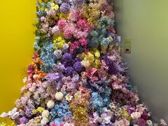 -莲花跑车(国贸商城店)