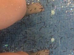 -水晶之星洗浴温泉汗蒸