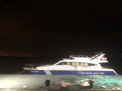 -大湾区中央湿地公园-十九涌