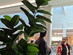 -同仁四季椰子鸡(无锡滨湖万象汇店)