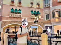 -澳门威尼斯人综合度假区