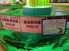 -年辉渔村