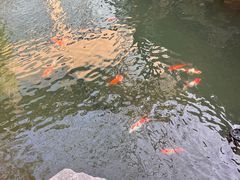 -新荣记(西溪湿地店)